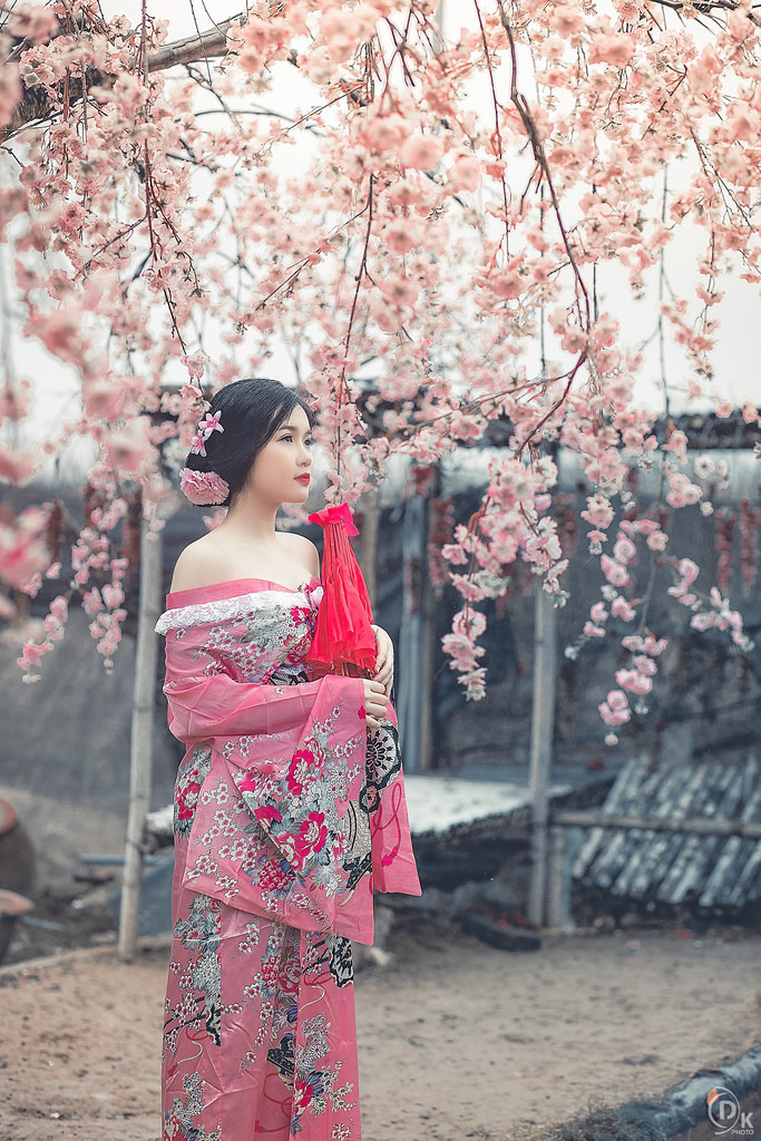 布拉芙夫人完整版